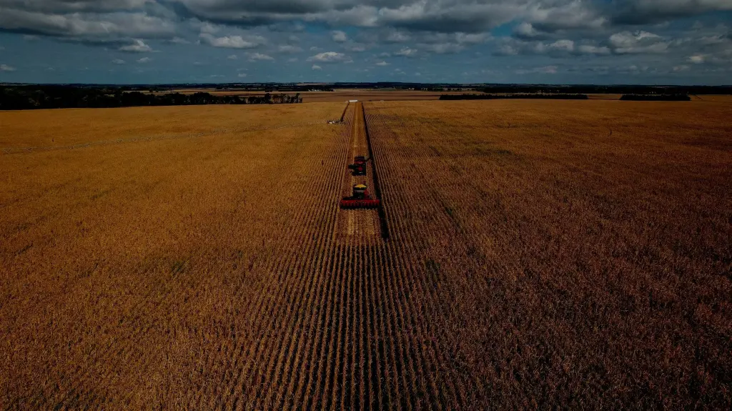 Aerial view of midwestern farmland at dawn. agriculture brand work.